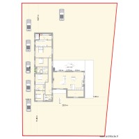 planta  cernache 4