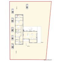 planta  cernache 3